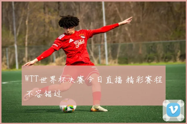 WTT世界杯决赛今日直播 精彩赛程不容错过