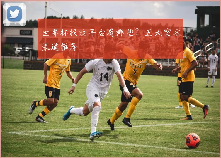 世界杯投注平台有哪些？五大官方渠道推荐